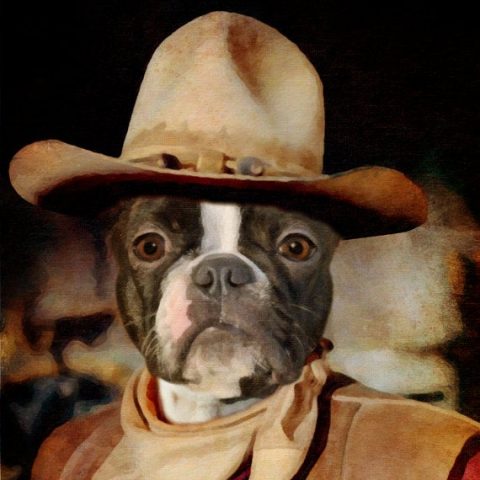 Dog Cowboy